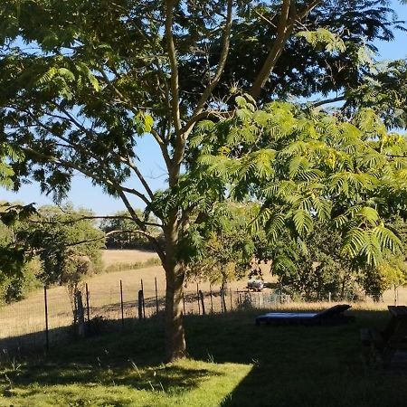 Gite L'Esprit Nature Naucelle Zewnętrze zdjęcie