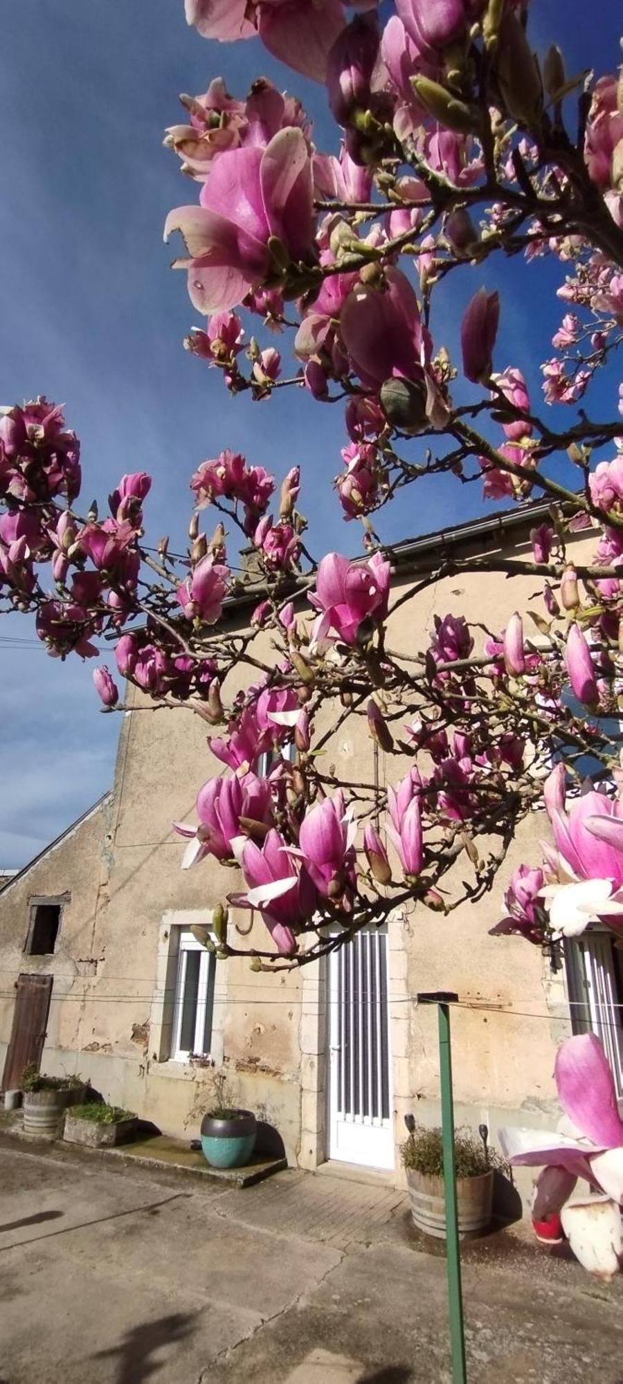 Gite L'Esprit Nature Naucelle Zewnętrze zdjęcie