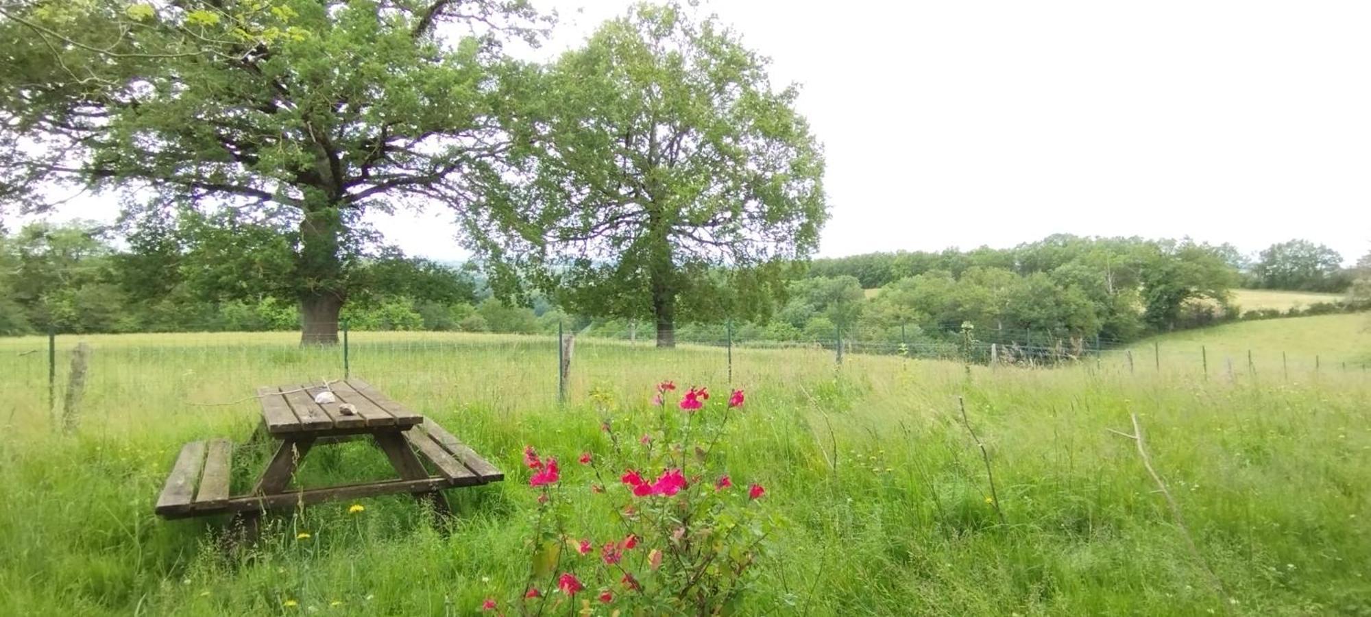 Gite L'Esprit Nature Naucelle Zewnętrze zdjęcie